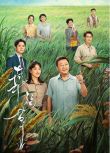 2024大陸劇《幸福草/ Happiness Juncao》郭濤/啜妮 國語中字 盒裝4碟