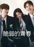 2024韓劇《脆弱/Skam Korea》金昭熙/金敔真 韓語中字 盒裝1碟