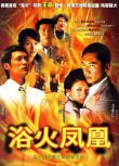 2006港劇 浴火鳳凰 楊恭如/黃奕 國語中字 盒裝7碟