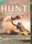 2015英國紀錄片 獵捕/生存戰/The Hunt David Attenborough 英語中字 盒裝2碟