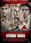 2011美國電影 稻草狗/Straw Dogs 詹姆斯·麥斯登 英語中字 盒裝1碟